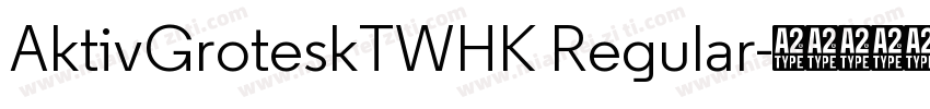 AktivGroteskTWHK Regular字体转换